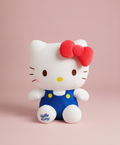 Matching Hello Kitty Plush